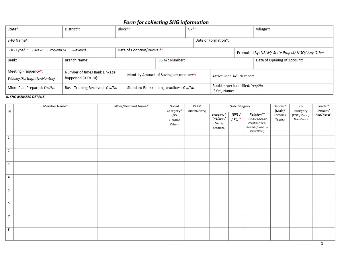 SHG Business Plan Form