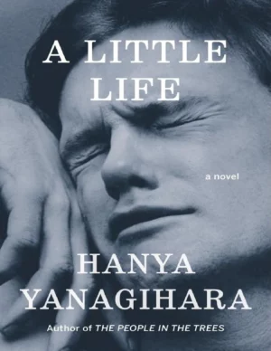 A Little Life Book