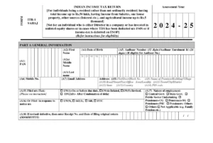 Income Tax Form 2024-25