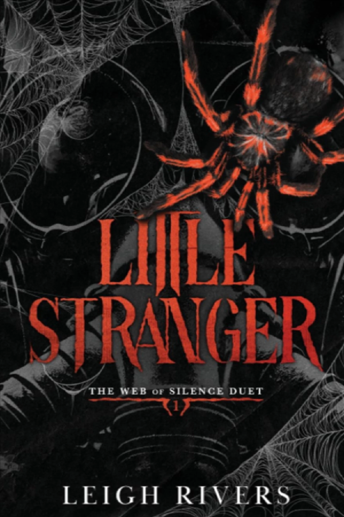 Little Stranger Book