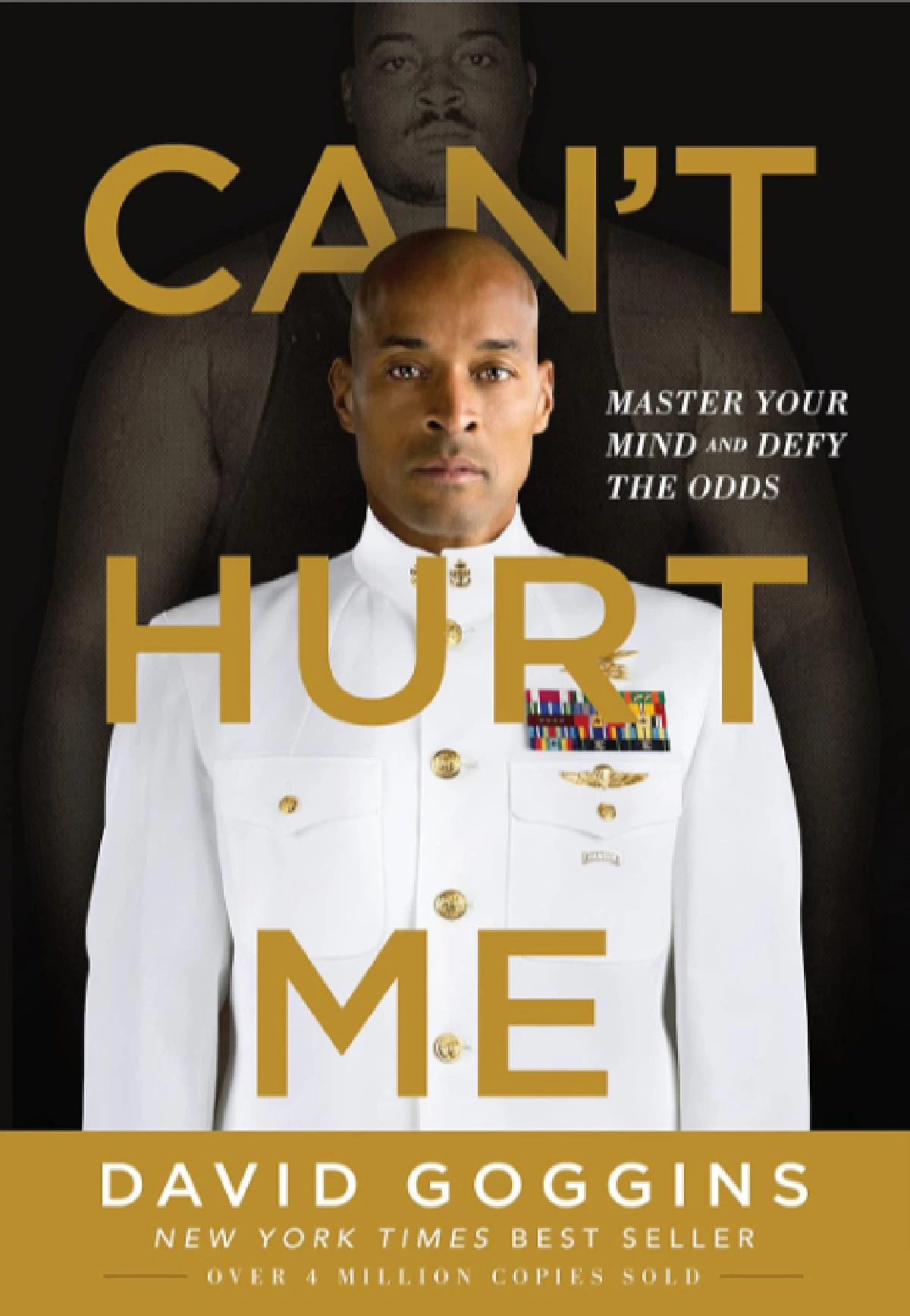 Can't Hurt Me Book