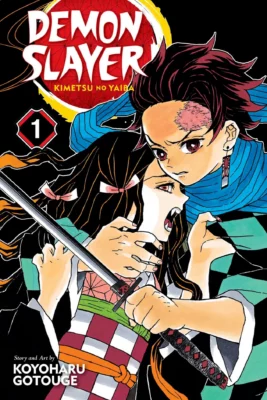 Demon Slayer Manga Comic Book