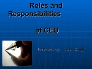 Roles And Responsibilities of CEO