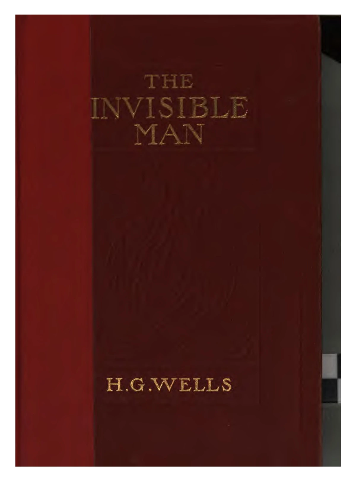 Invisible Man Book