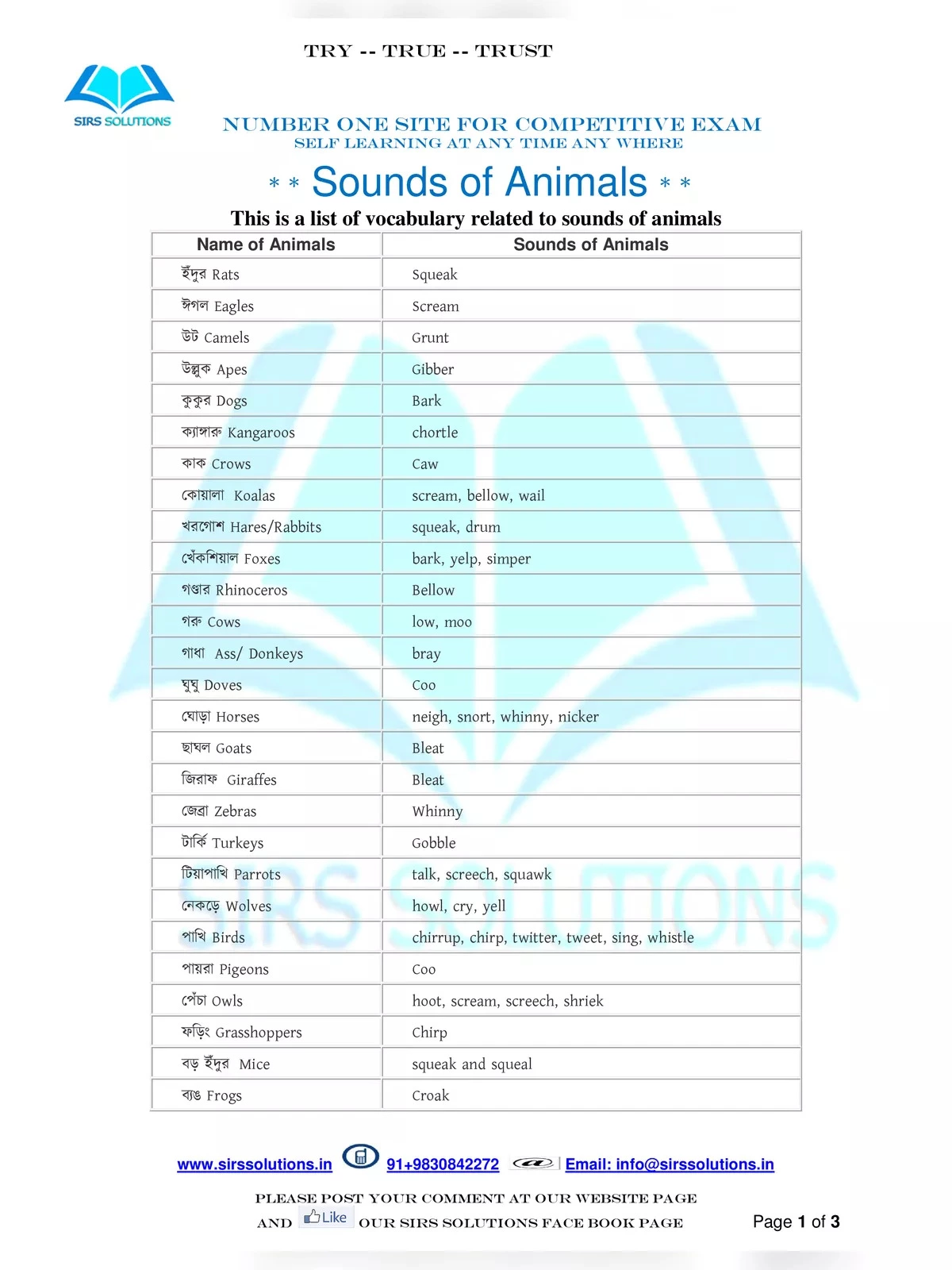 Animal Sounds List English