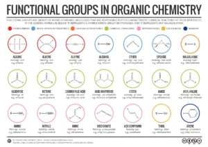 All Functional Groups Organic Chemistry List