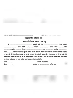 Aaple Sarkar Self Declaration Form Marathi