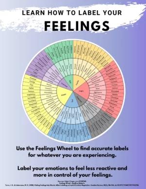 Feelings Wheel Chart for Kids