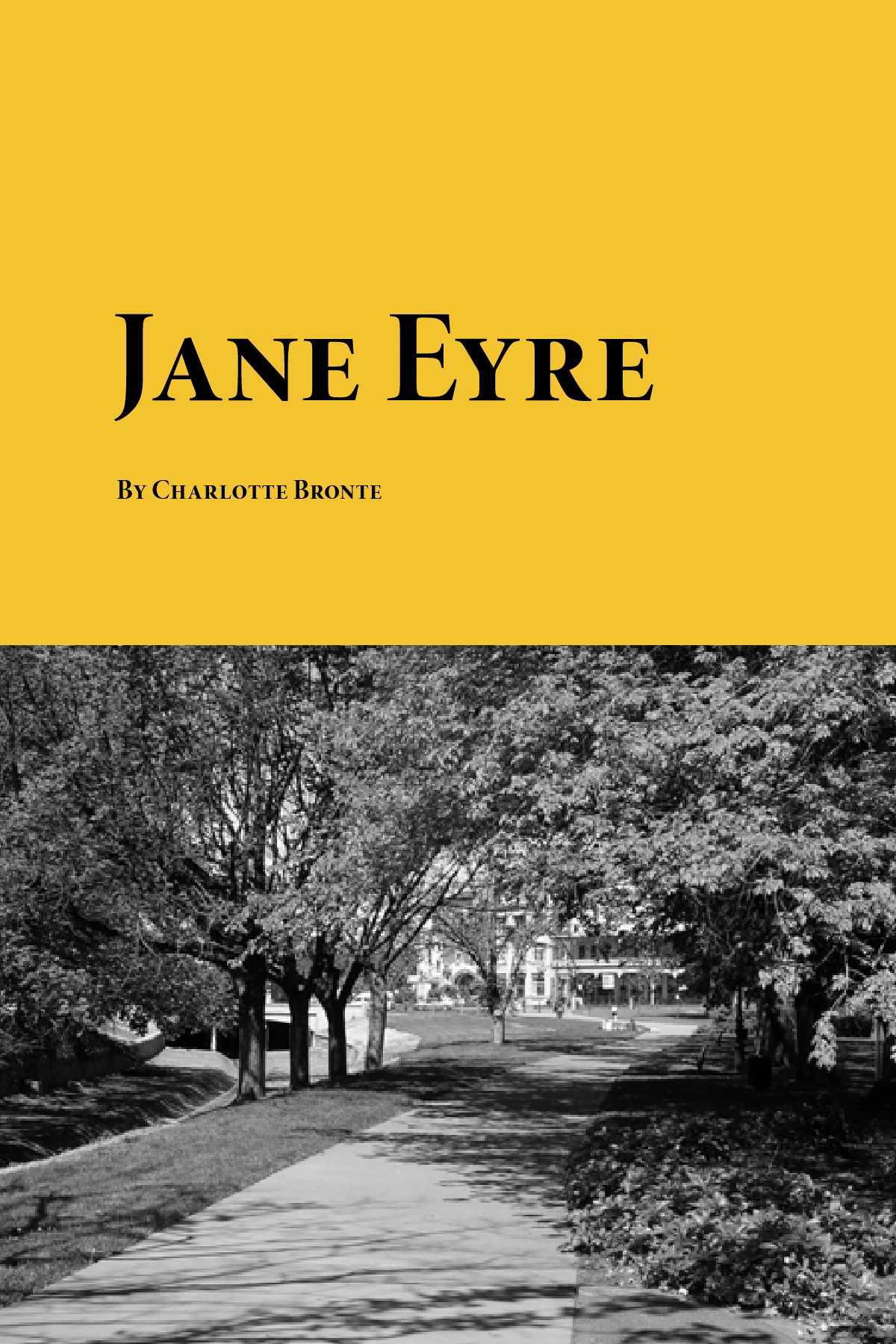 Jane Eyre Book