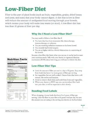 Low-Fiber Food List with Guideline