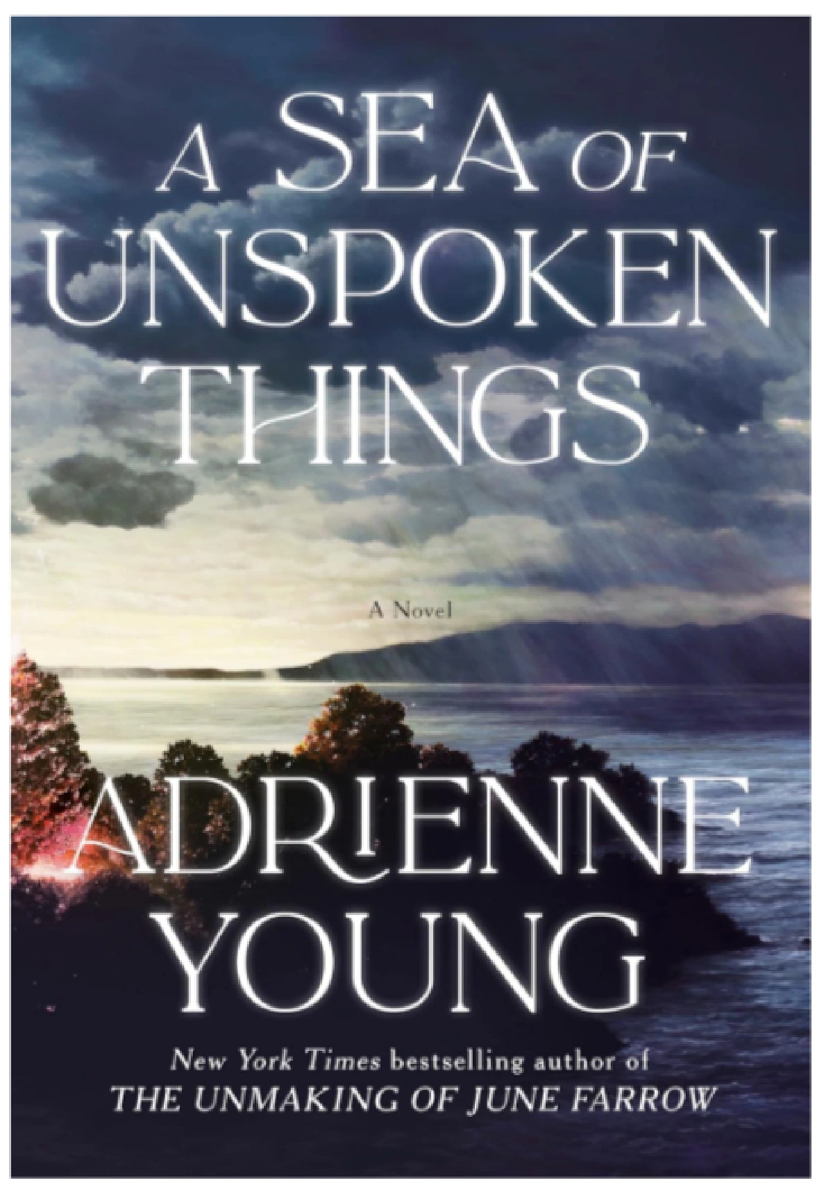 A Sea of Unspoken Things: A Novel