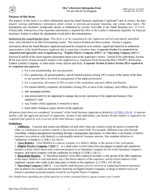 SBA Form 1919
