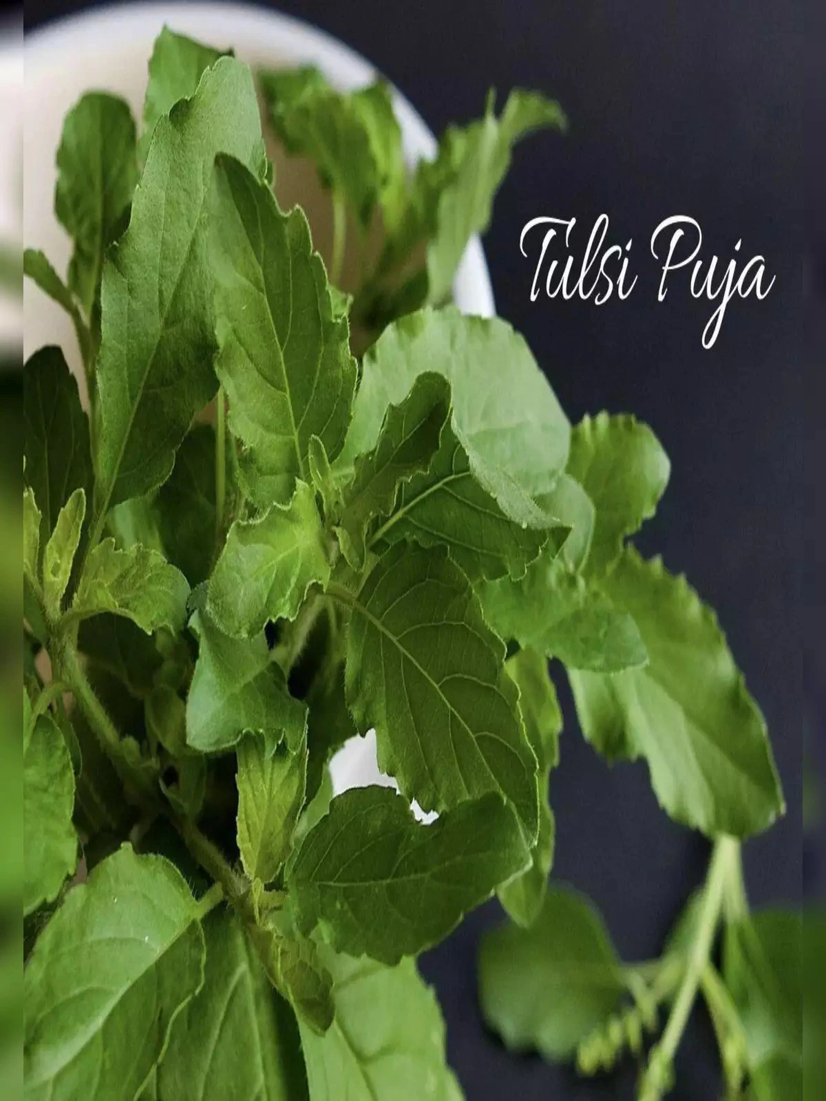 Tulsi Arti Pooja Vidhi and Katha – तुलसी आरती पूजा विधि और कथा