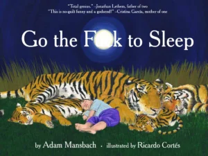 Go the Fuck to Sleep Book