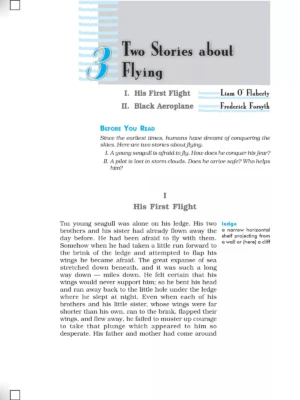 Two Stories about Flying